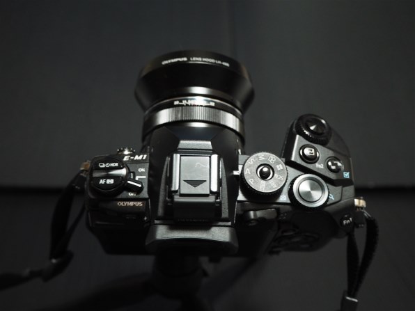 オリンパス OLYMPUS PEN Lite E-PL7 EZダブルズームキットで撮影された