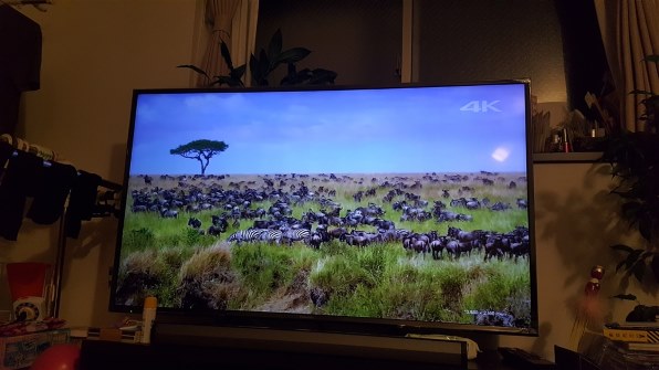 パナソニック VIERA TH-55DX750 [55インチ]投稿画像・動画 - 価格.com