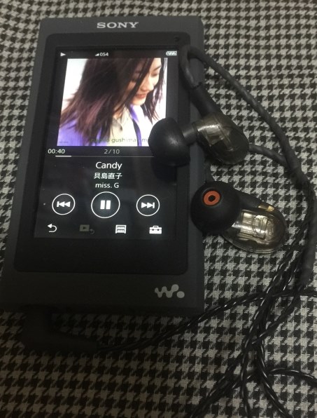 Westone UM Pro30 WST-UMPRO30 [クリア] 価格比較 - 価格.com