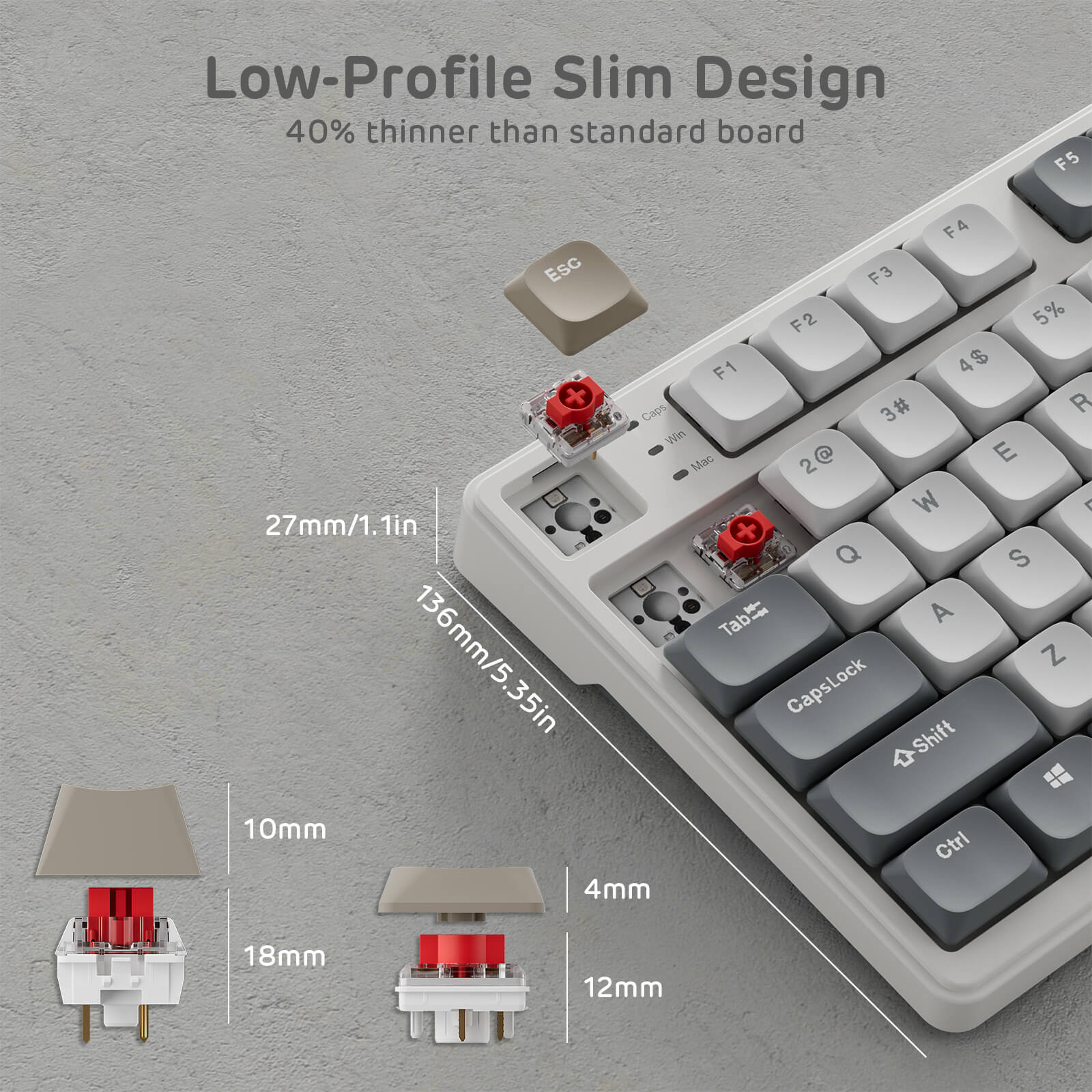 RK ROYAL KLUDGE N80 Low-Profile Mechanical Keyboard with Display