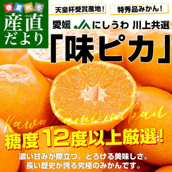 お歳暮 ギフト】愛媛県 JAにしうわ 川上共選 最高等級みかん「味ピカ