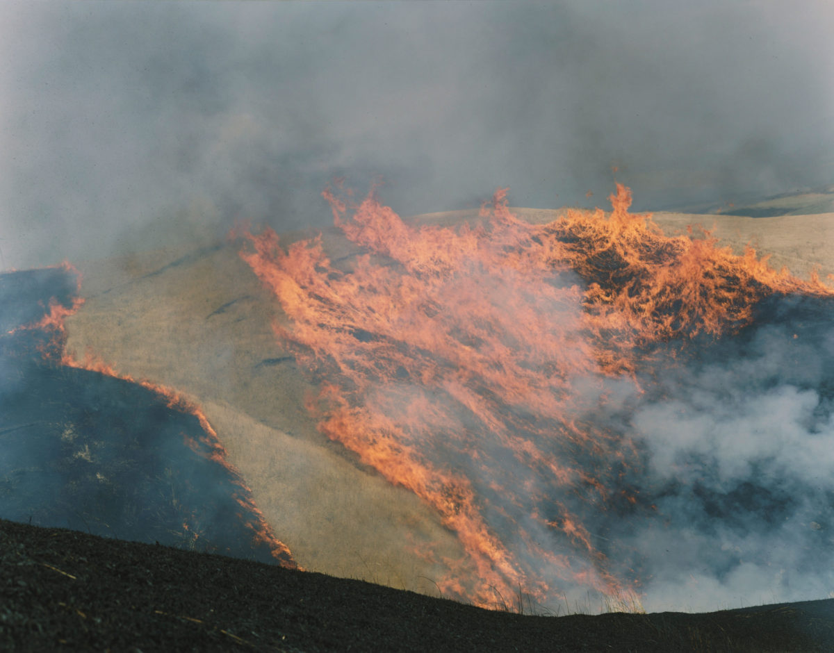 Rinko Kawauchi – 川内倫子 | あめつち