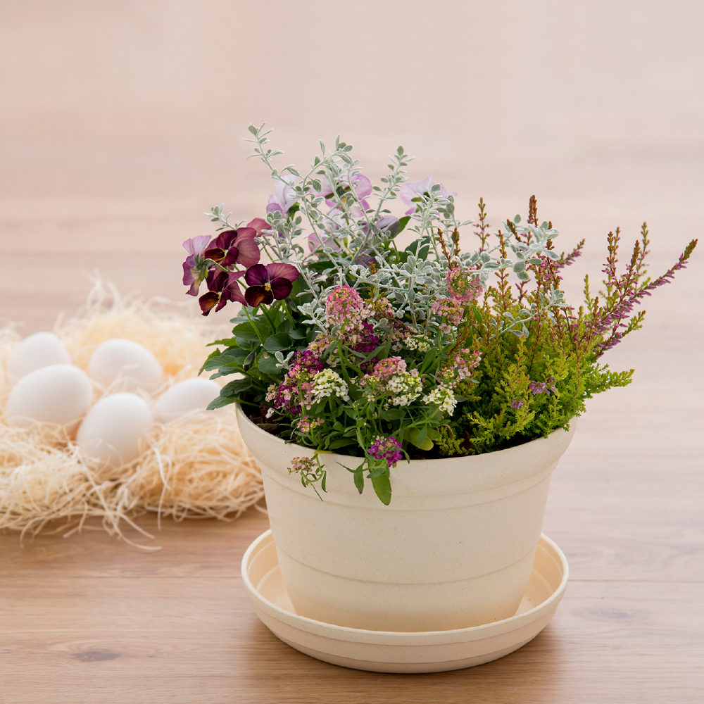 ひよっこ ポット 6号 | リッチェル公式ウェブショップ