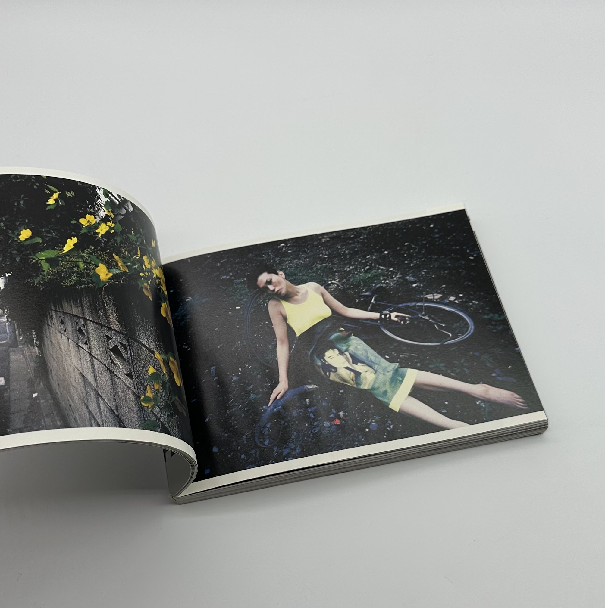 ARAKI IN WIEN - りーちあーと