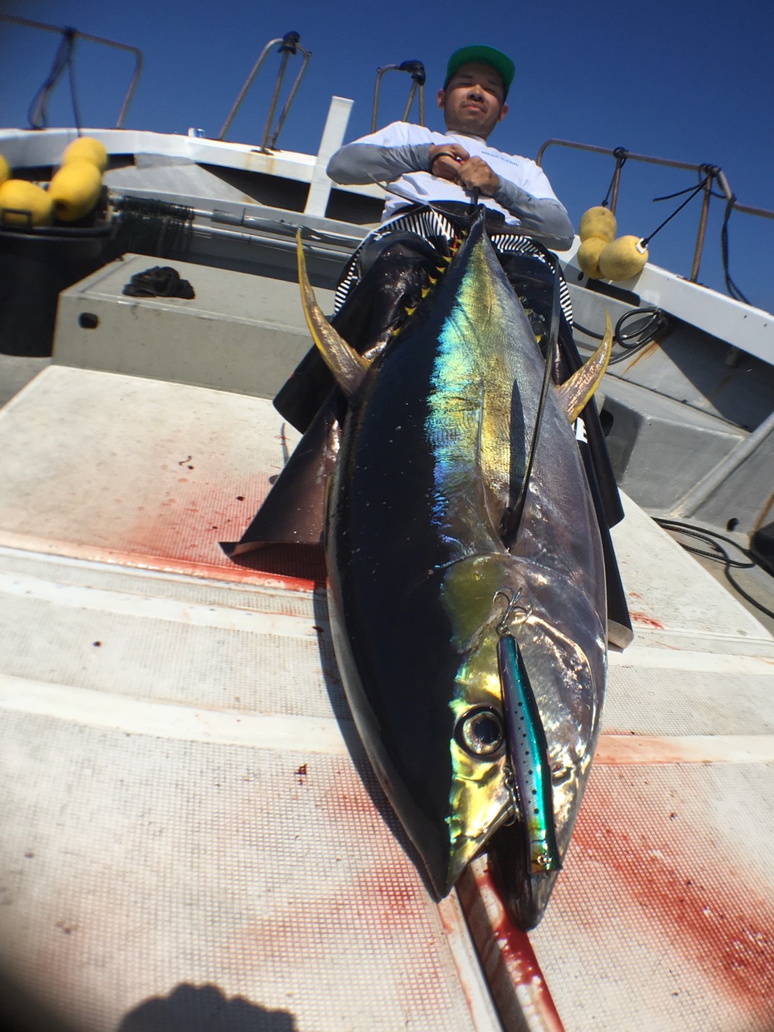 BIG TUNA 87 JAPAN Special キハダマグロ釣果レポート | リップル