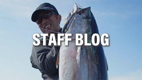 Aquila MST 85-7+ | リップルフィッシャーリップルフィッシャー