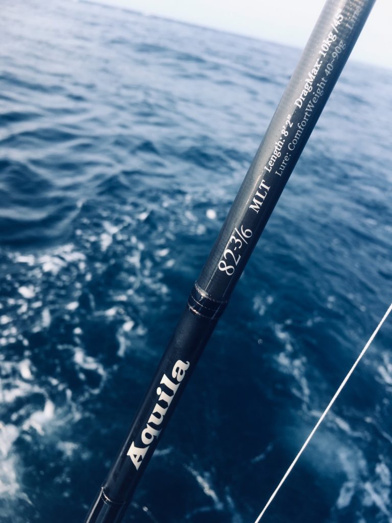 釣行レポート】Aquila MLT 82-3/6 + ショートグリップ 南房ヒラマサ