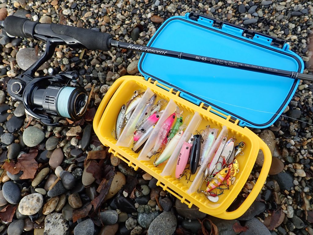 RealCrescent RC-65 メバルプラッギング・釣果報告 | リップル