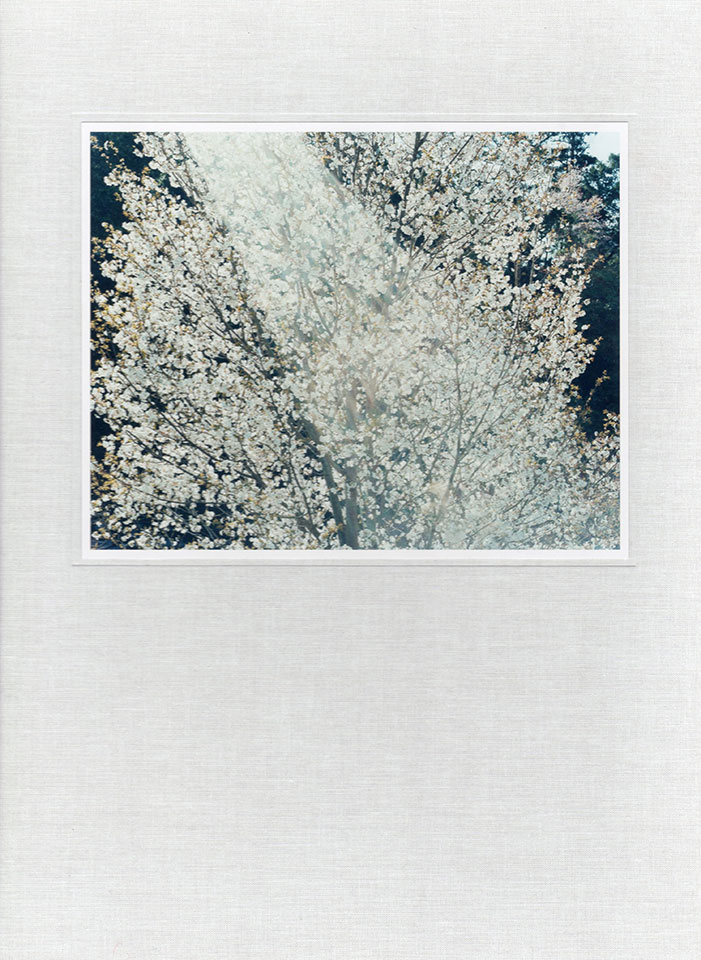 Stream of consciousness | 鈴木理策 | Risaku Suzuki | 鈴木理策