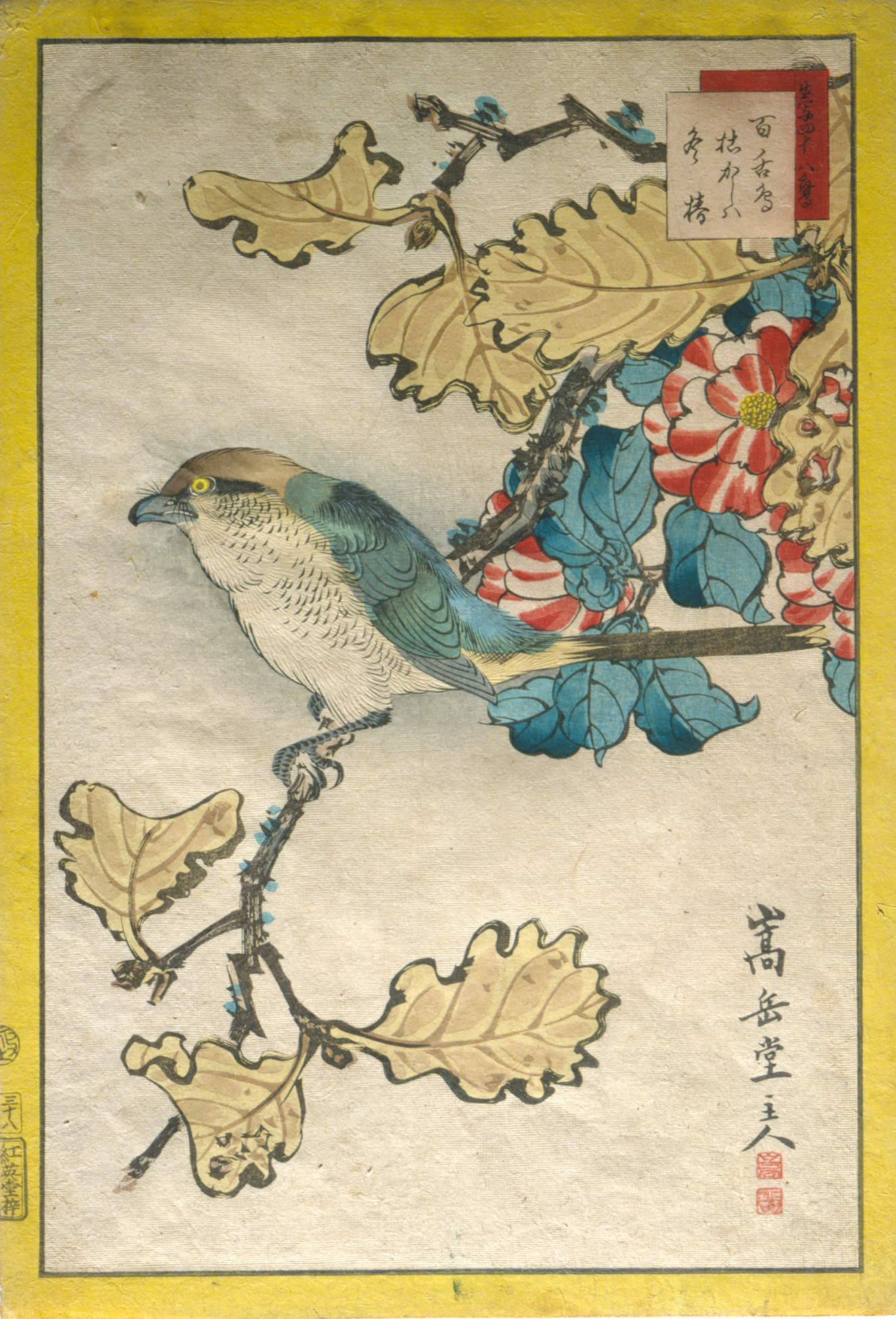 Collection | RISD Museum