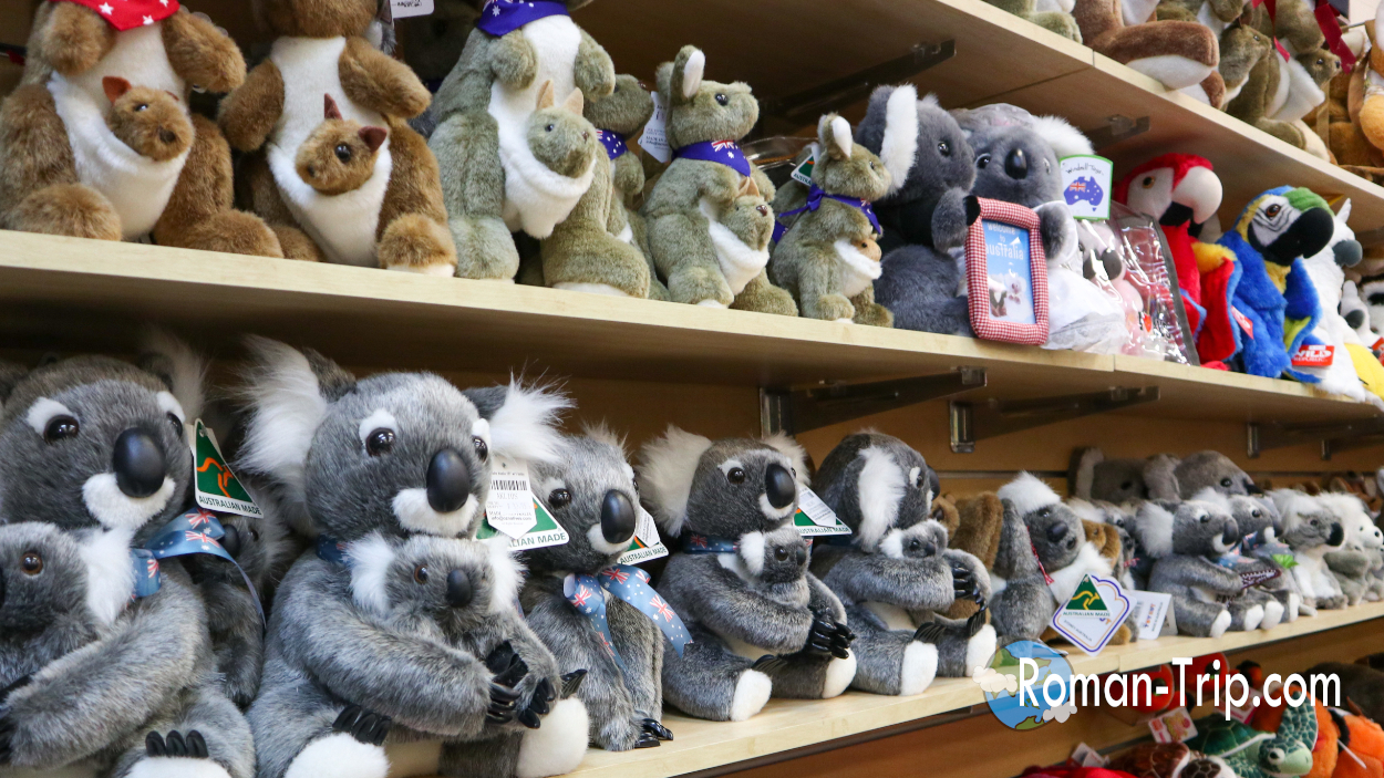 ケアンズで発見！コアラやカンガルーのかわいいお土産＆ご当地