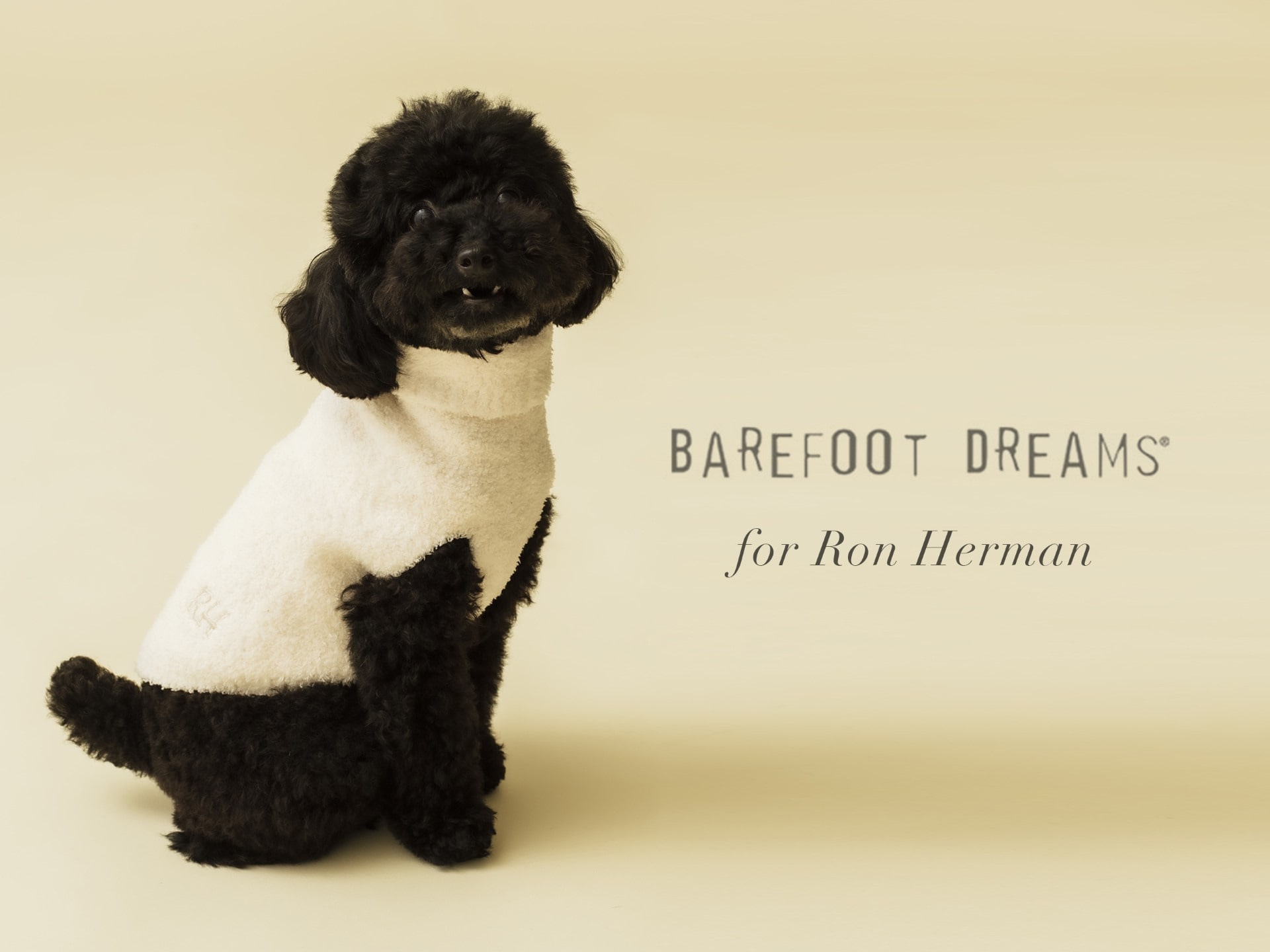 BAREFOOT DREAMS for Ron Herman New Arrival News｜Ron Herman