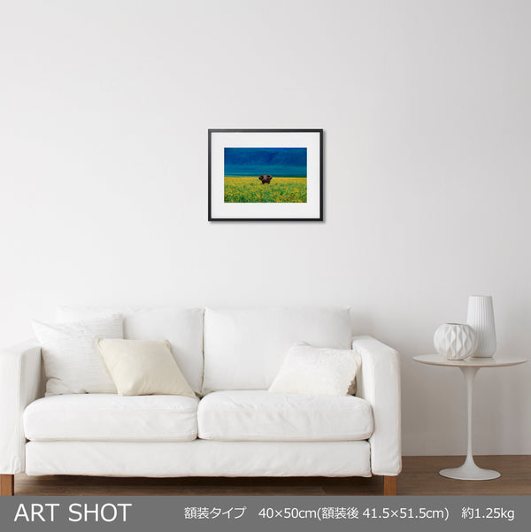 黄色のアート写真 - イエローコーナー公式オンラインショップ – ROOM＋