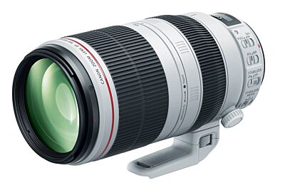 Canon EF 24-105mm f/4L IS II USM New-In-Box at Roberts Camera