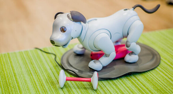 超速報】話題の犬型ロボット「aibo」開封の儀！ | ロボスタ - ロボット