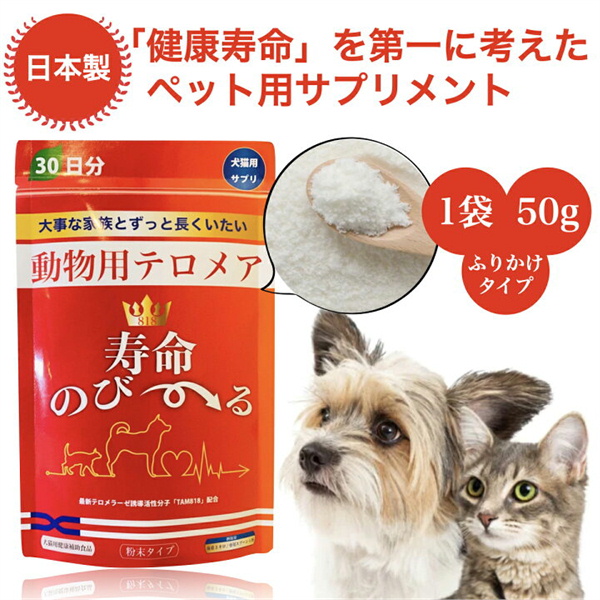 ローズオンラインショップ / 【送料無料】PE-TAM(ペッタム)寿命のび〜る