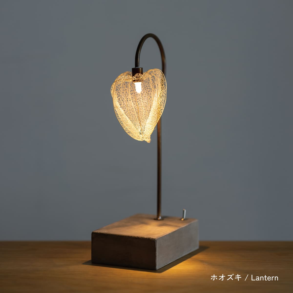 はいいろオオカミ＋花屋 西別府商店 森の小さな灯 | 石田ゆり子さんが