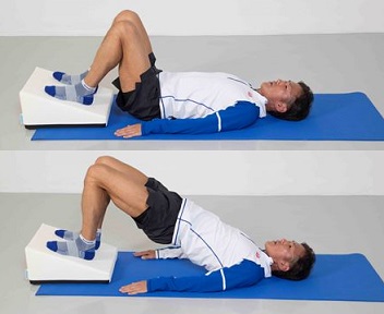 サンテプラス フレックスクッション 限定スペシャル動画付き － RUNNET