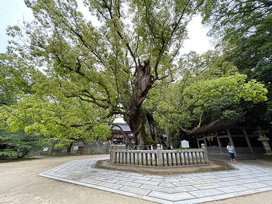 国宝集まる大山祇神社 【愛媛/今治市】 | イマナニ