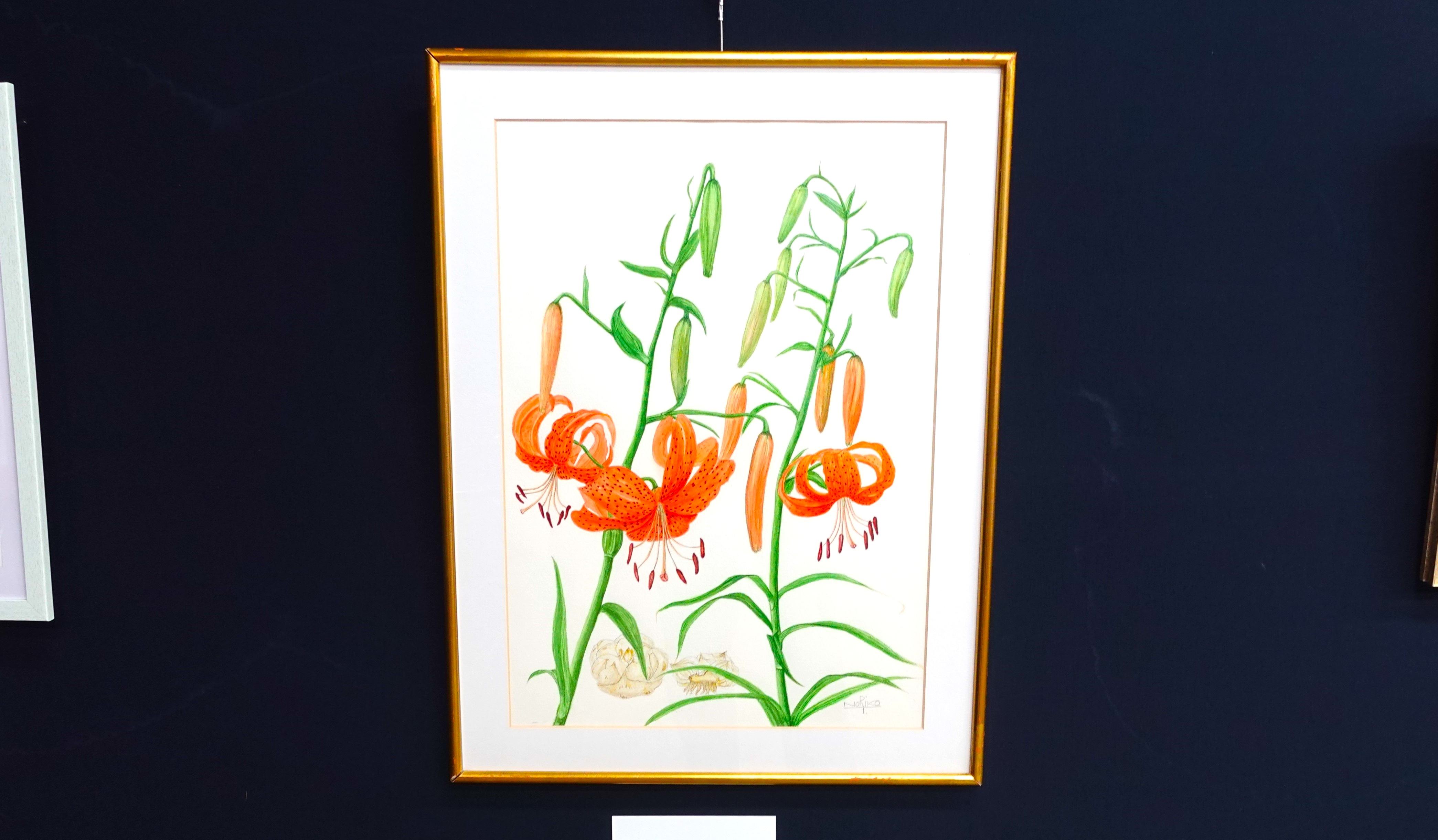 終了】ボタニカルアート(植物画)作品展 | 堺市都市緑化センター | 大阪