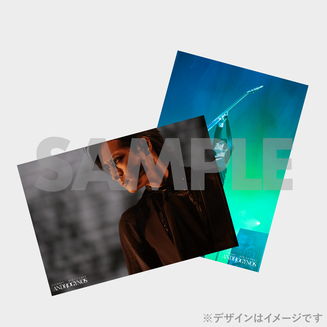 DIR EN GREY】ANDROGYNOS - THE FINAL WAR -開催記念ラッフルくじ | RAFFLE