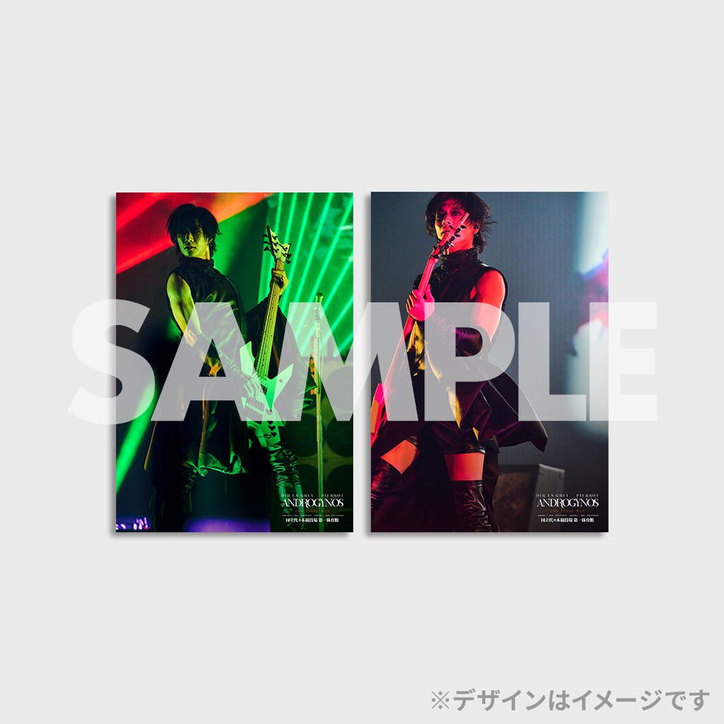 DIR EN GREY】ANDROGYNOS - THE FINAL WAR -ライブフォトラッフルくじ