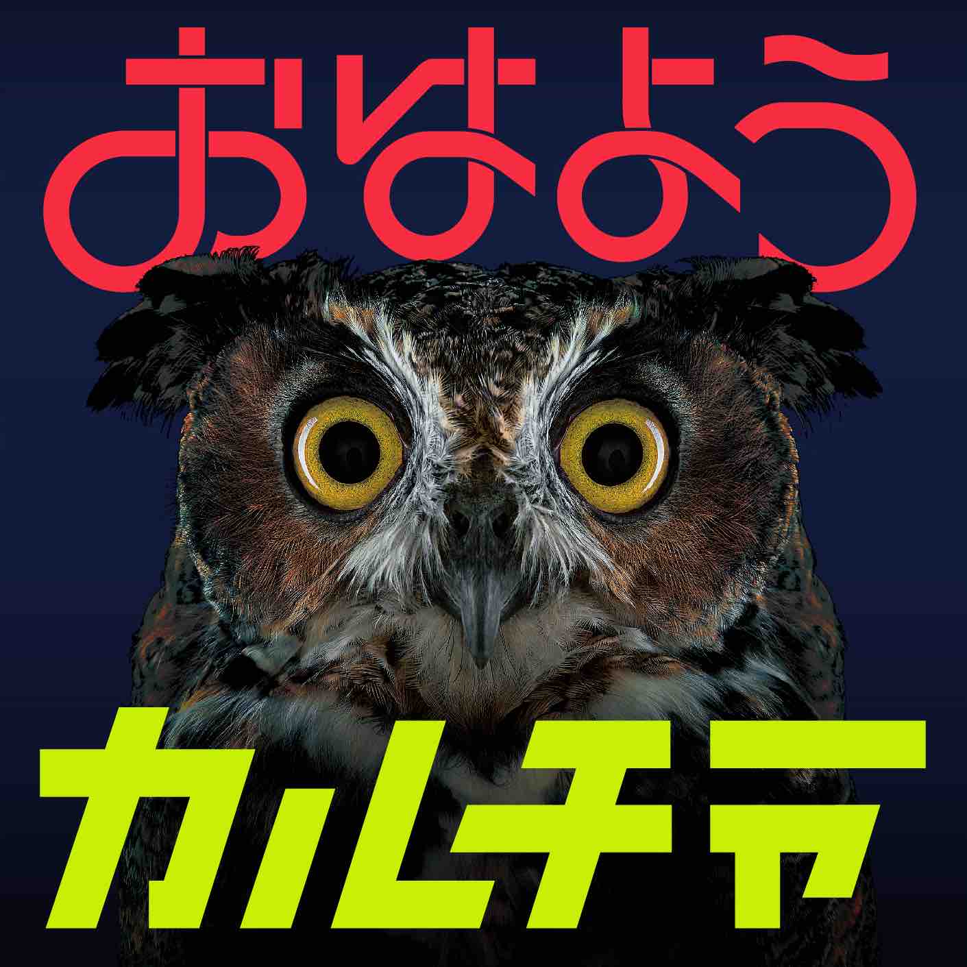 single｜go!go!vanillas