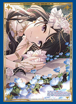 第761弾 ブシロード スリーブコレクション ハイグレード Vol.4376