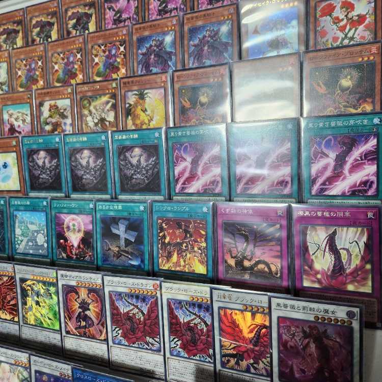 即日発送 ローズ・ドラゴンデッキ 構築済みデッキ 山屋 即日発送