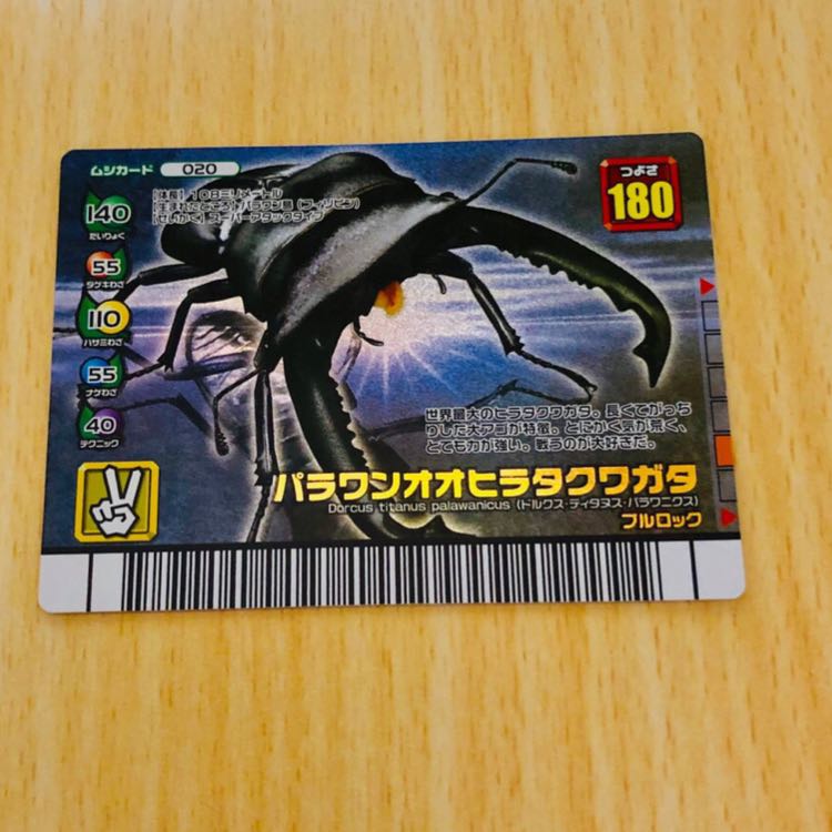 ムシキング パラワンオオヒラタクワガタ】 1枚の通販 TCollection