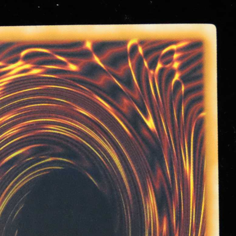 遊戯王 ブラック・ローズ・ドラゴン ホログラフィックレア 1枚の通販