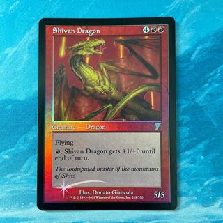 シヴ山」の激安通販 | magi