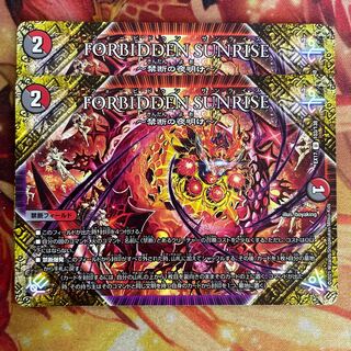 フォービドゥンサンライズ FORBIDDEN SUNRISE 2枚 2枚の通販 なかの