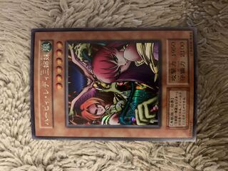 遊戯王 PSA10 パーピィ・レディ 初期 鑑定済み GEM MINT 極美品