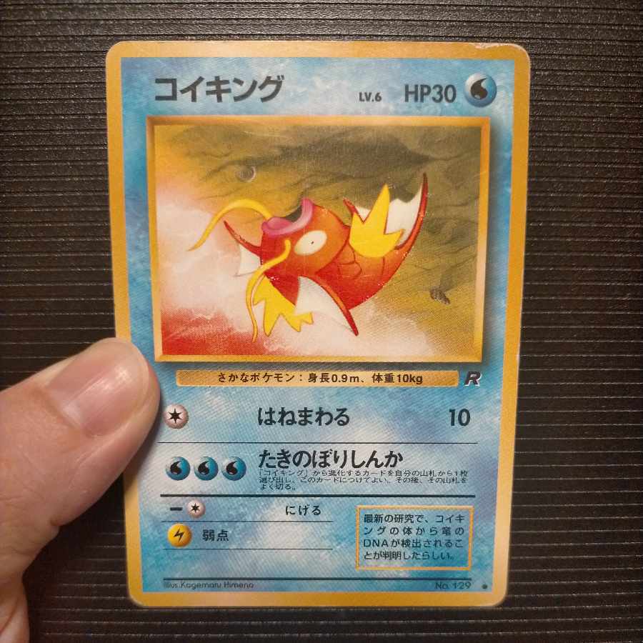 旧裏コイキング 1枚の通販 かな（661122284） | magi