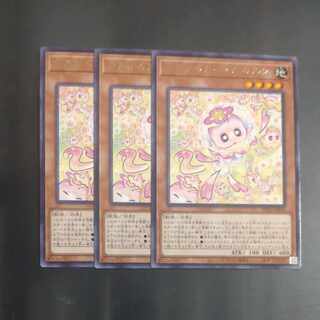 マルチャミーニャルス」の激安通販 | magi