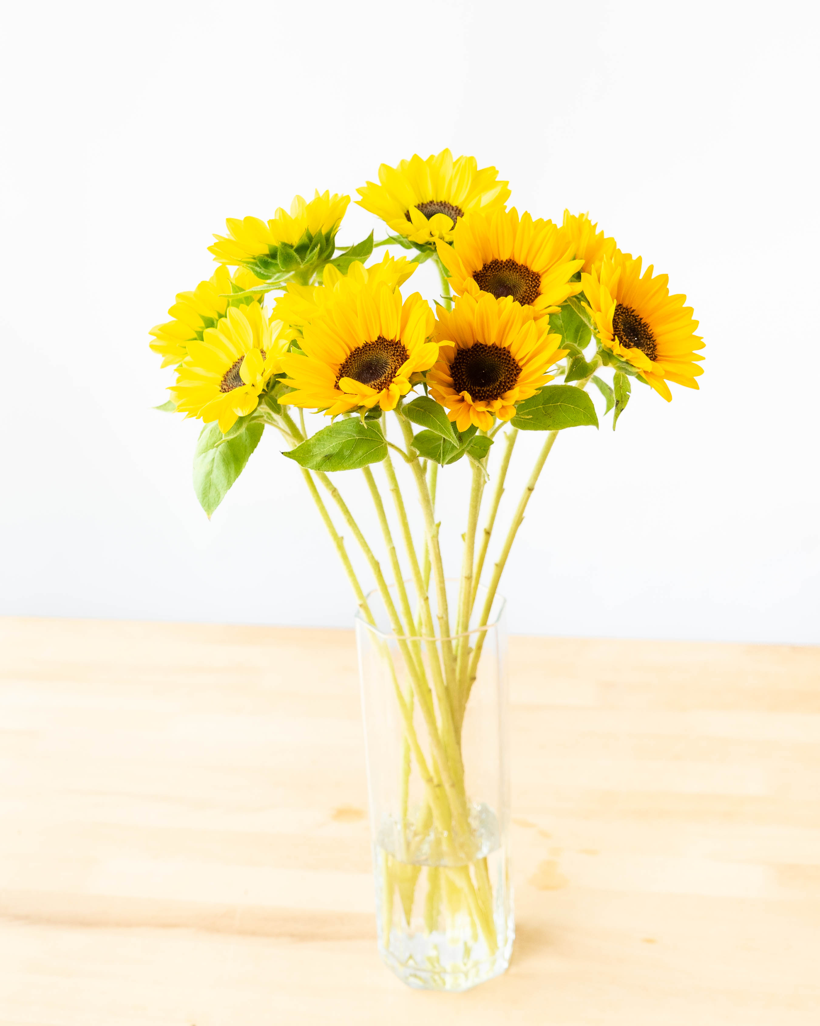 産地直送 ひまわり 1輪 花束 30本用／千葉 金井園芸からお届け | 花束