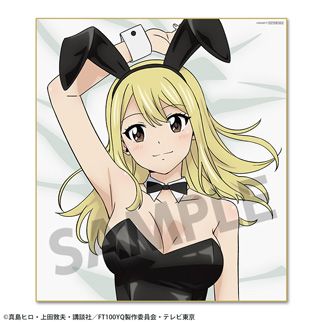 HS特典付き】FAIRY TAIL 100年クエスト 描き下ろし抱き枕カバー