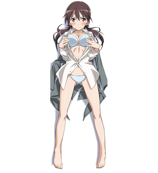 キャラアニ ストライクウィッチーズ ゲルトルート・バルクホルン 抱き