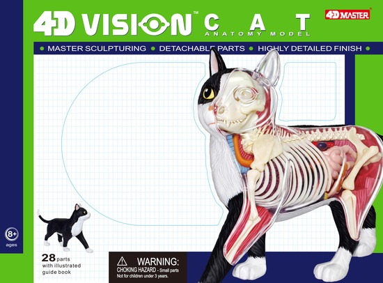 再販】スカイネット 立体パズル 4D VISION 動物解剖 No.29 猫 解剖