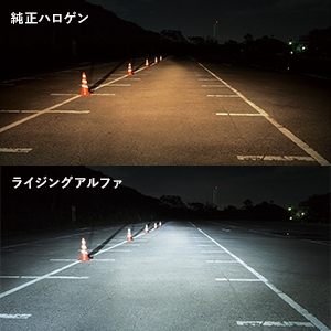 日本製LEDヘッドライト RIZINGアルファ H19 6000K 2年保証 [SRACH19060