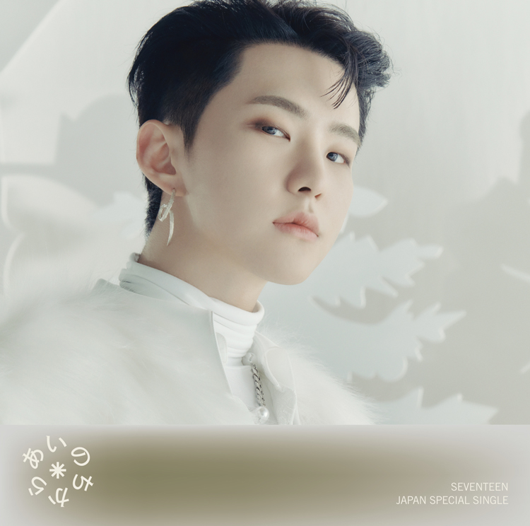 SEVENTEEN JAPAN SPECIAL SINGLE「あいのちから」