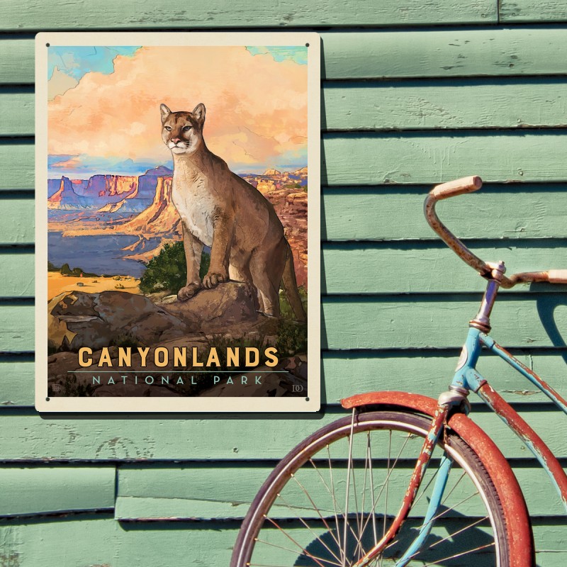 Canyonlands National Park: Cougar | Anderson Design Group
