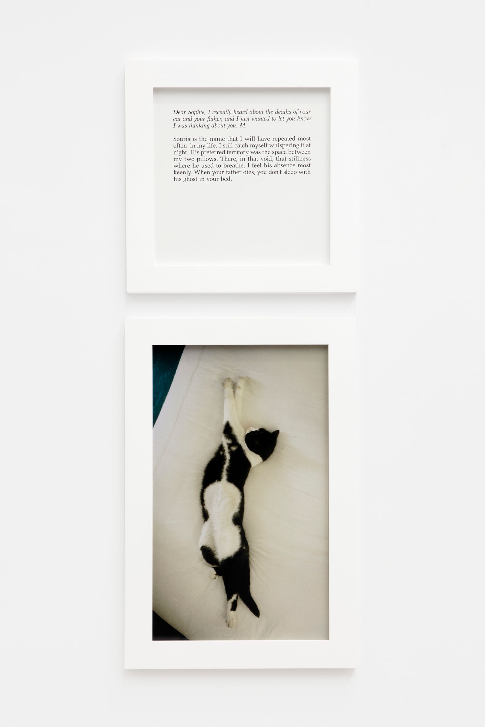 The ghost of Souris | 蘇菲·卡爾(2017) | PERROTIN