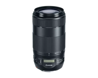 Canon EF 70-300mm F4-5.6L IS USM◇0198 Amazon.com : Used Canon 70