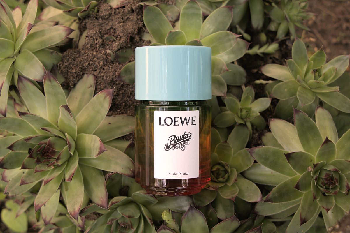 Loewe Paula's Ibiza Review (2024): The Best In Class - Scent Grail
