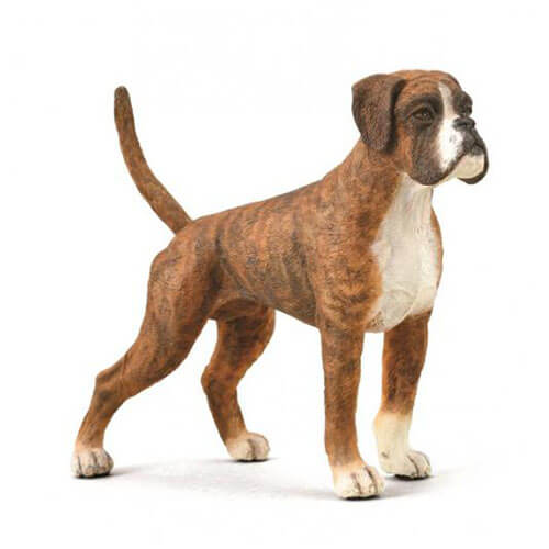 88936 Collecta【ボクサー犬】｜動物・恐竜フィギュアのZOOO!