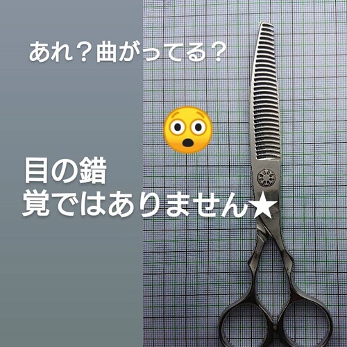 ネットワーク(NETWORK)_BR_セニングシザー研がせていただきました | 理