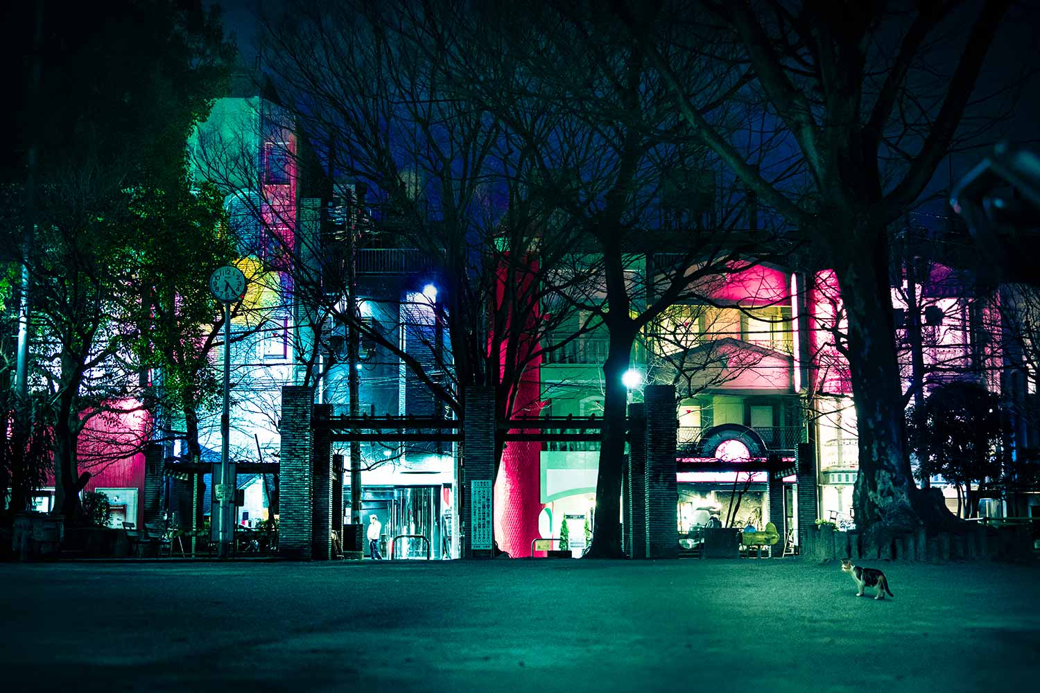 紅子×渡辺豪】私たちは吉原の跡をどう歩くべきなのか。矛盾を抱えた街