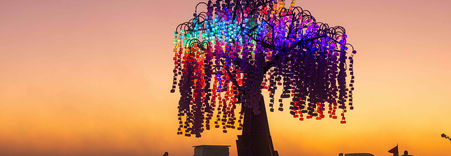 Entwined: Elder Mother - San Francisco Parks Alliance